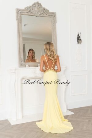 Yellow mermaid dress with a train and open back.