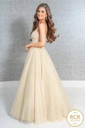 Gold sparkly ballgown with straps.