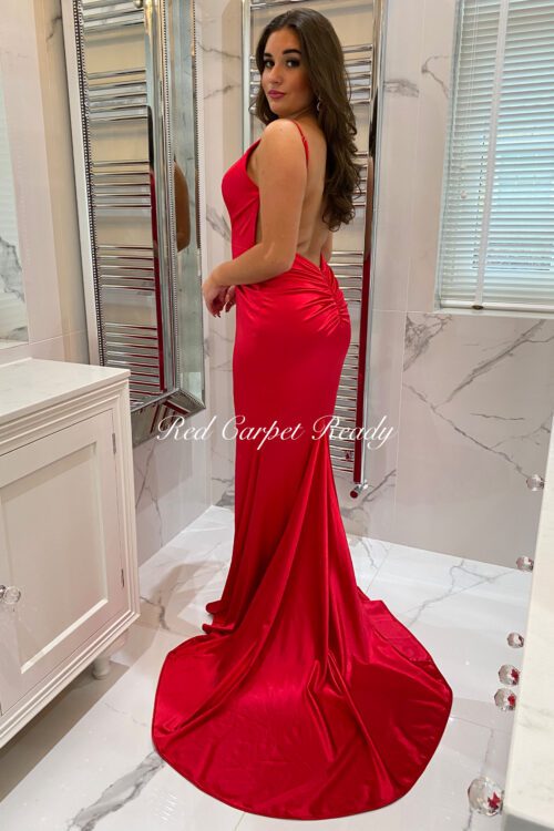 Slinky red dress with a train, open back and straps.