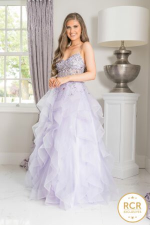 Princess ballgown with embellished bodice