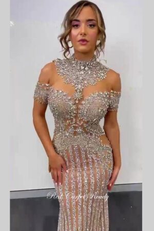 silver nude encrusted dress with cap sleeves and embellishments