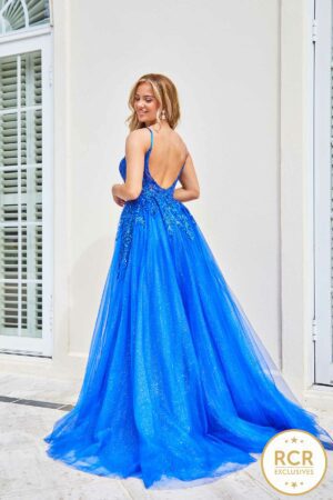 Royal Princess dress with embroidered top and corset back