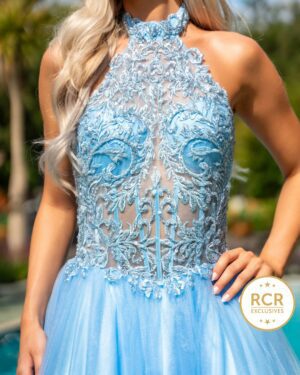 A high neck baby blue embroidered bodice princess dress