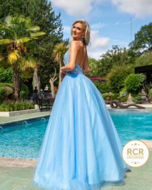 A high neck baby blue embroidered bodice princess dress