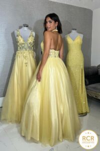 A high neck yellow embroidered bodice princess dress