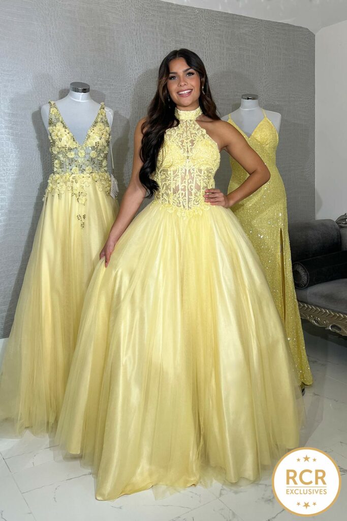 A high neck yellow embroidered bodice princess dress