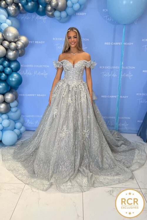 princess silver ball gown
