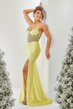 AF5304-lemon-side
